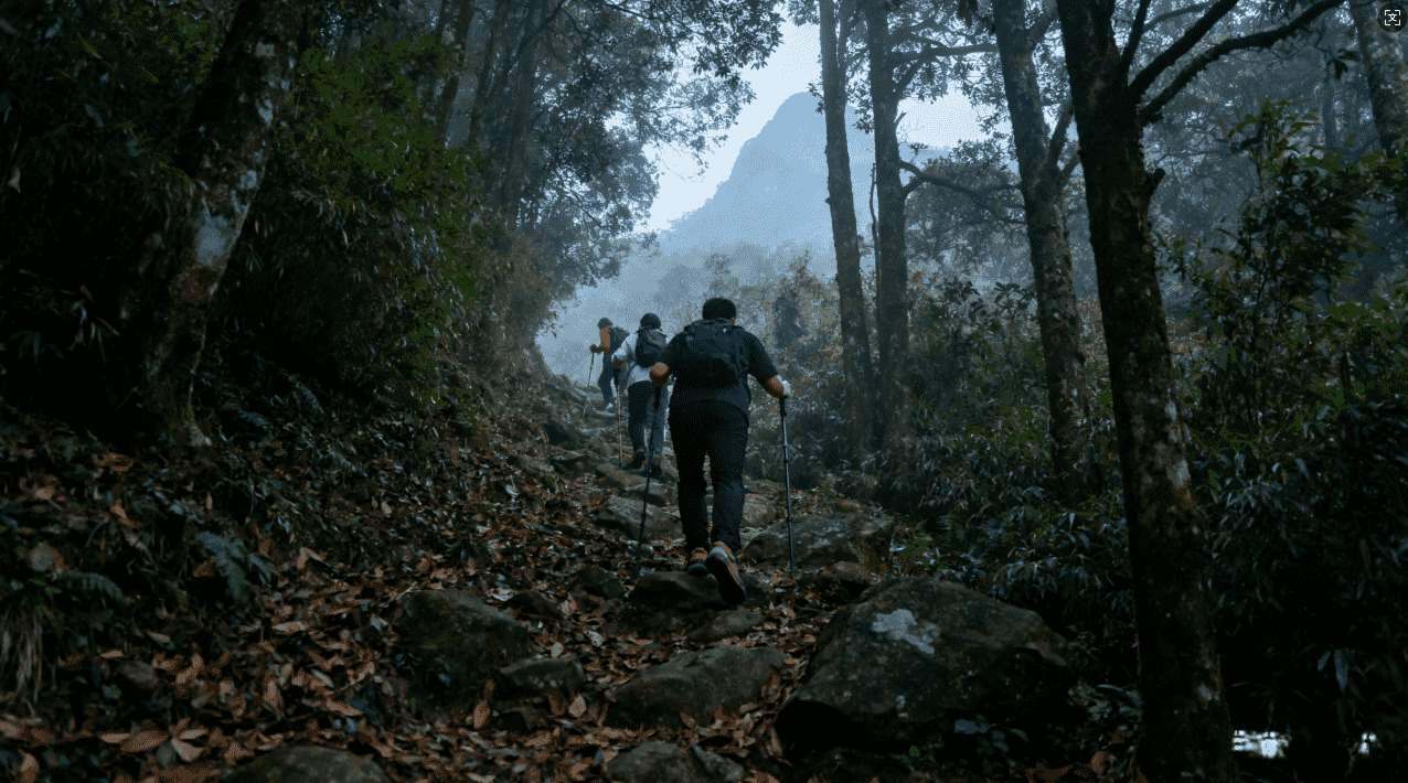 袋鼠加速器的含义及其在网络加速中的应用